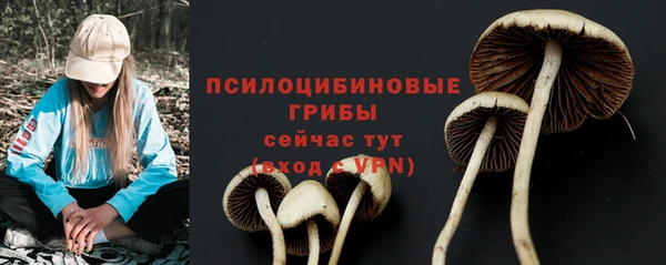 бутират Абаза