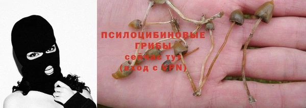 бутират Абаза